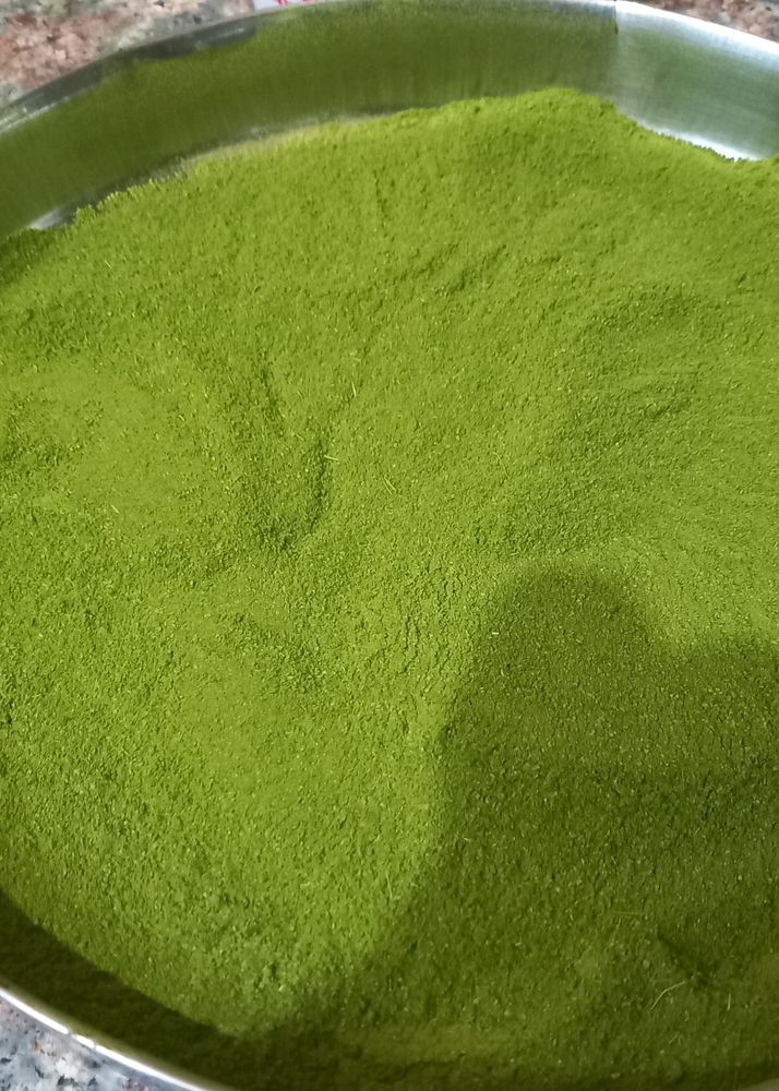 Moringa Powder Fresh Organic