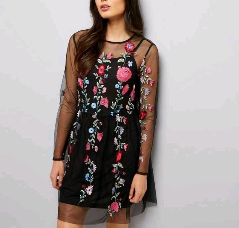 Black Mesh Floral Embroidered Skater Dress