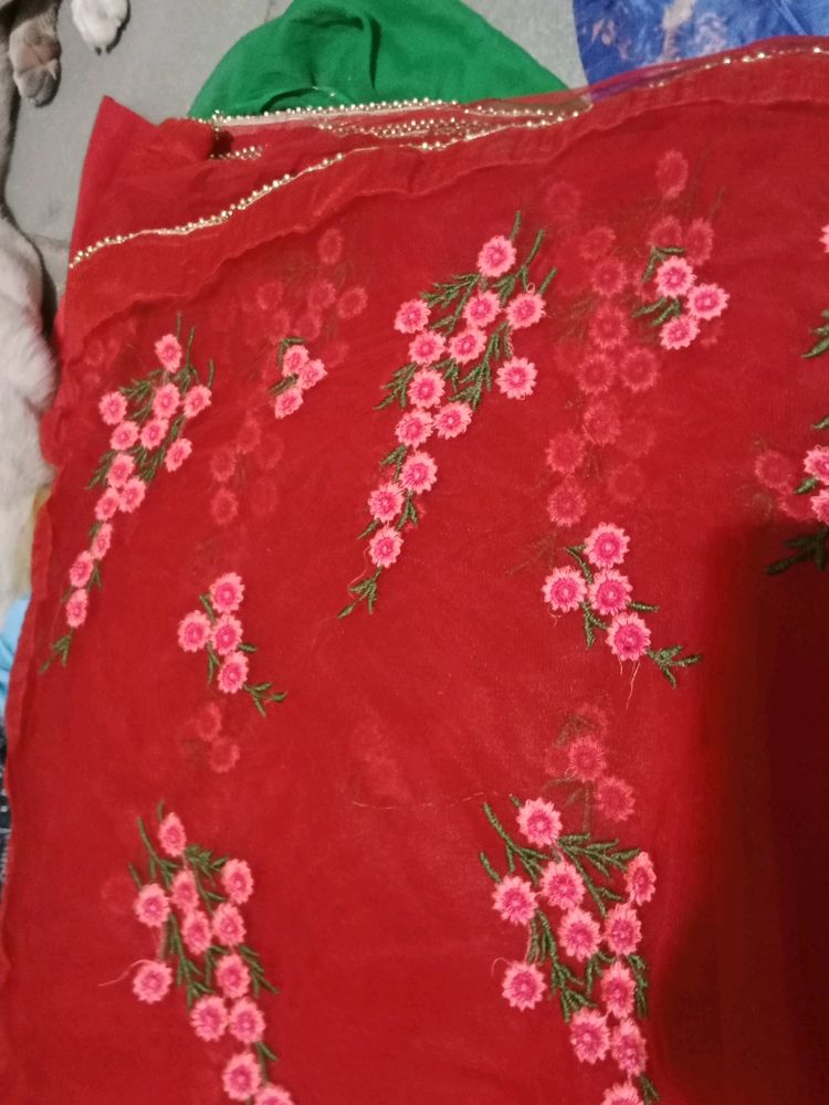 Unused Saree