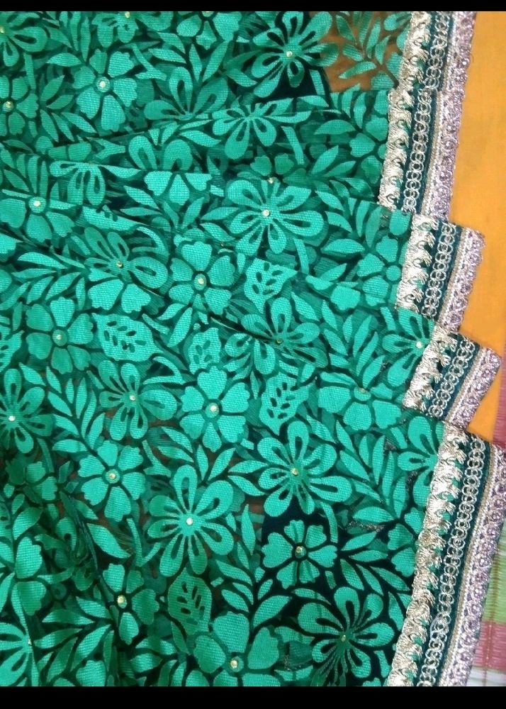 Green Net Saree