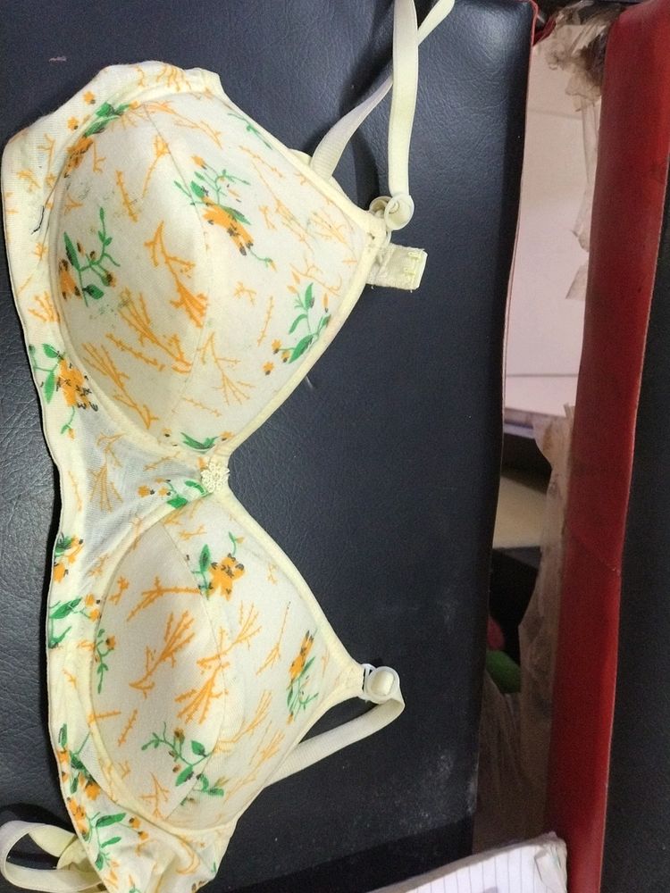 Lemon Printed Padded Bra