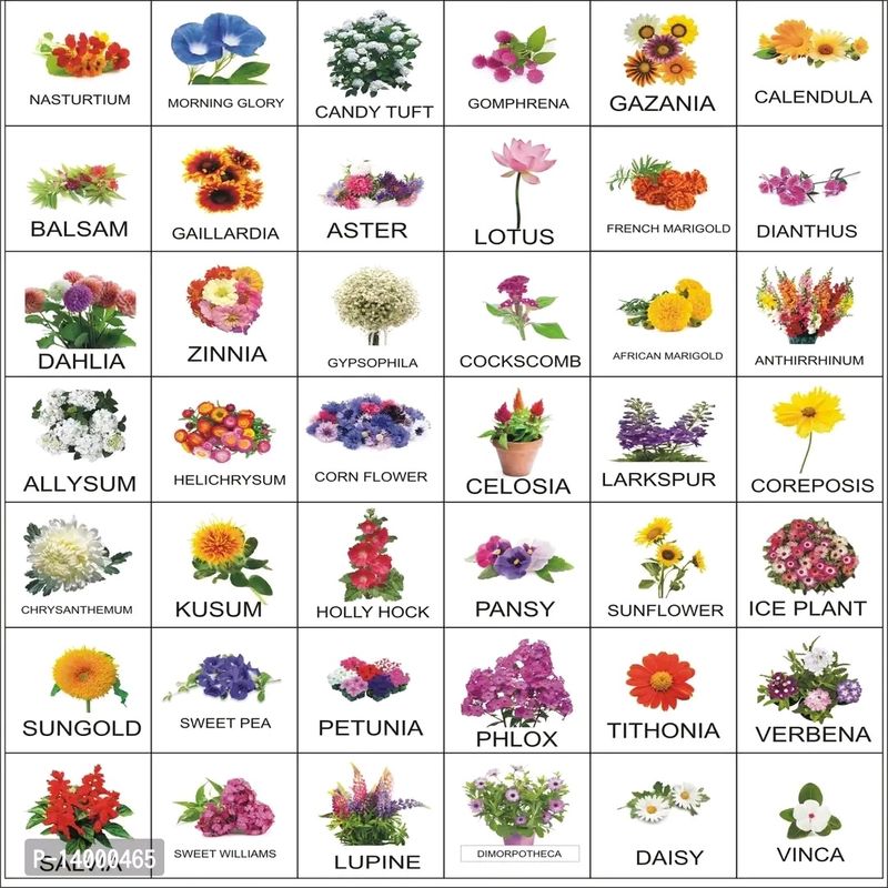 40🌹🌸🌼Flowers Seeds