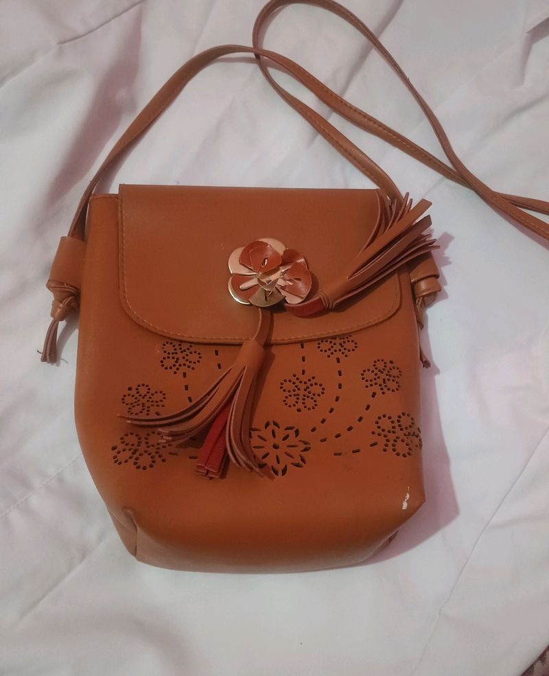 Brown 🤎 Sling Bag