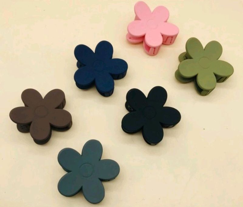 Korean Flower Hair Claw Combo Of 6.