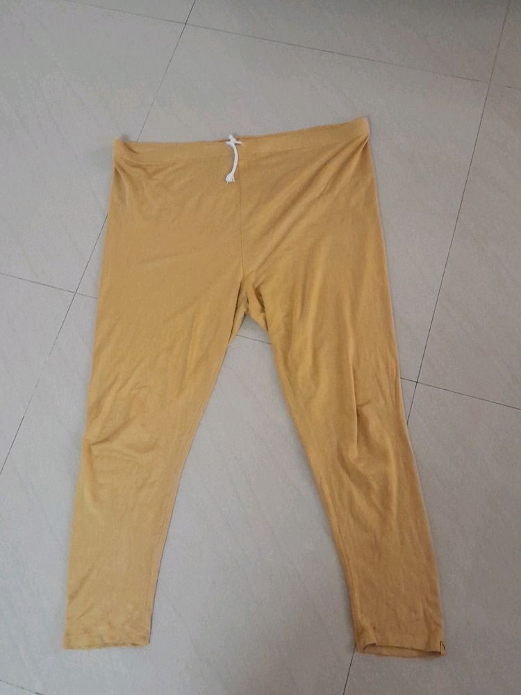 Used Aurelia Legging Ankle L Size