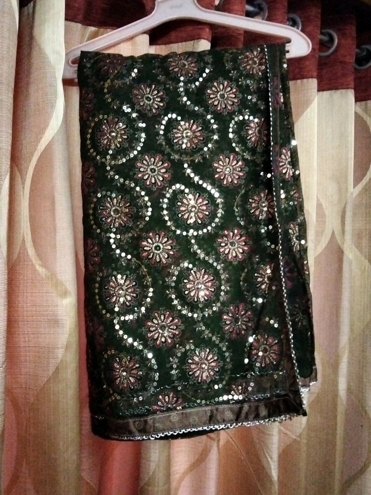 Organza Saree