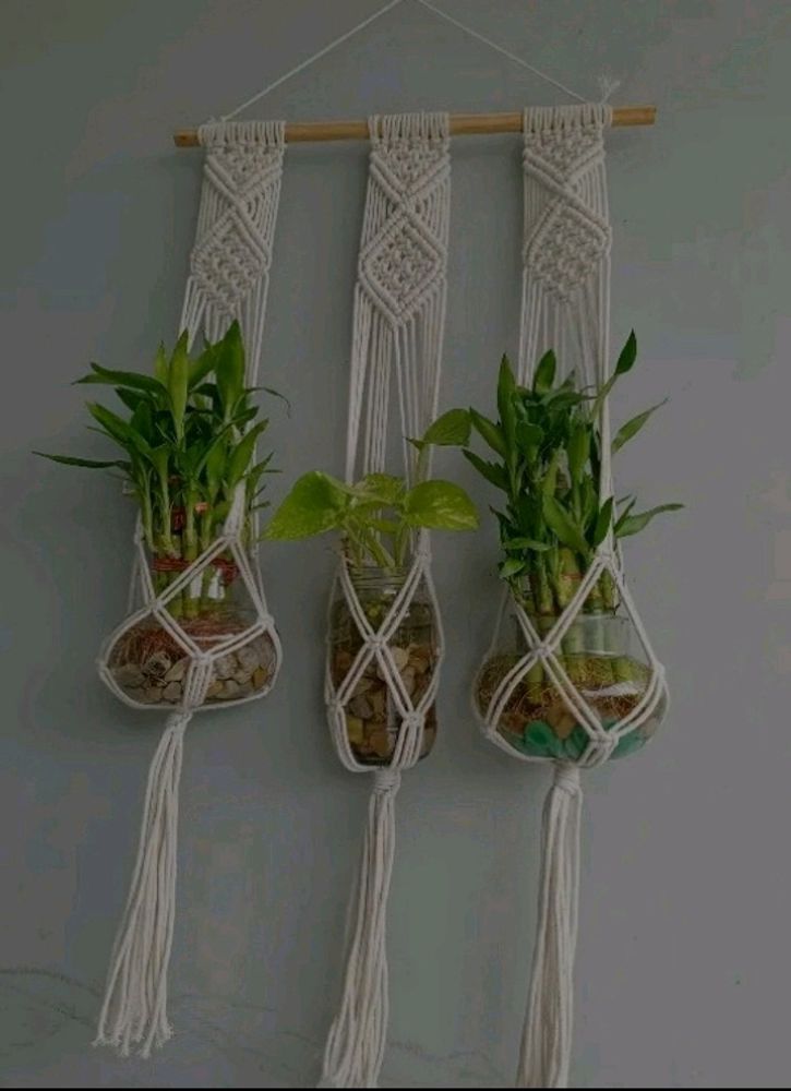 Plant Wall Hanging