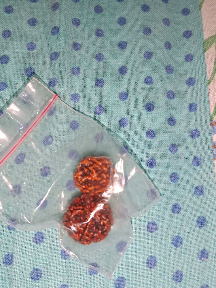 Two Original Rudraksha For Women And Men Both