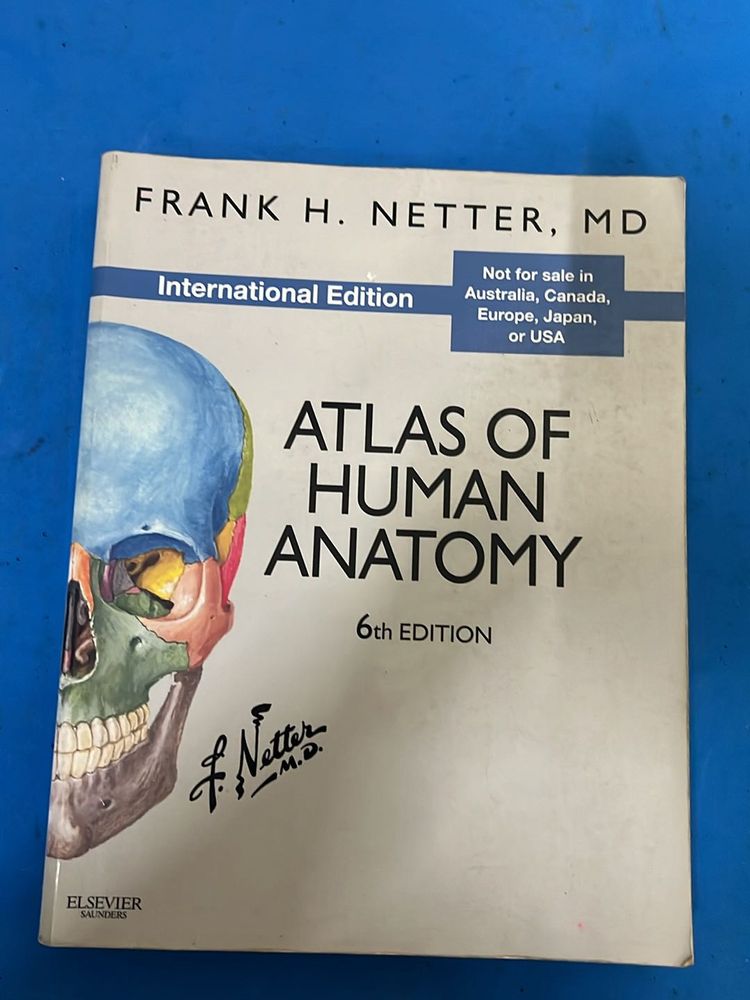 Atlas Of Human Anatomy- Netter