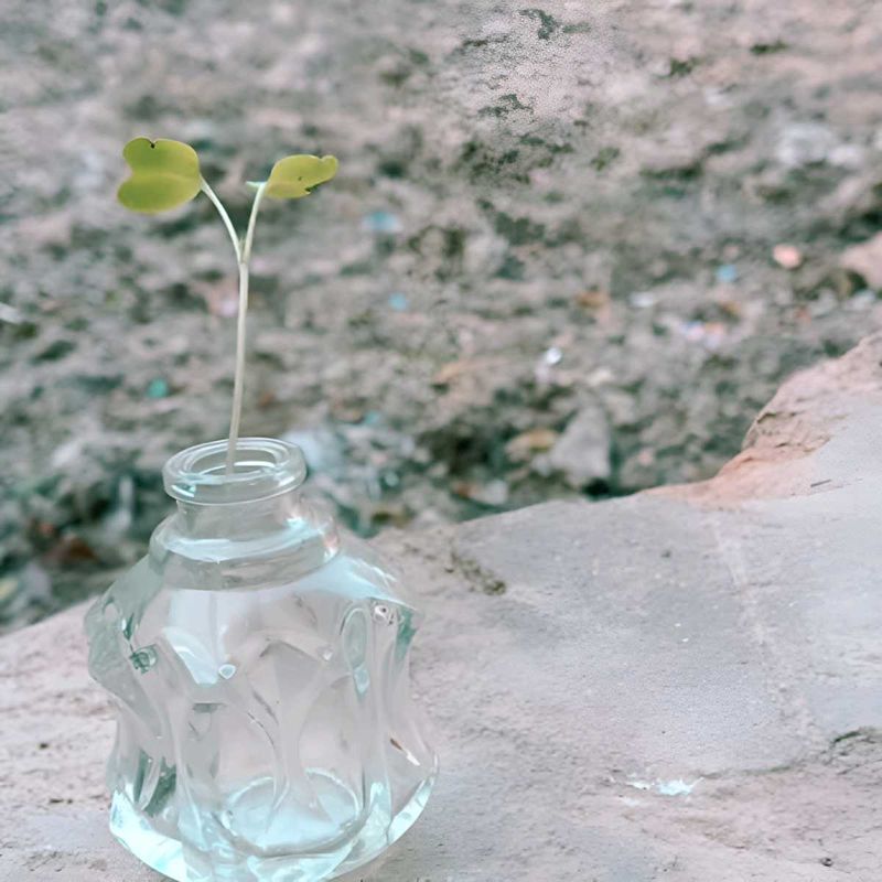 Little Flower Pots Of Mirror