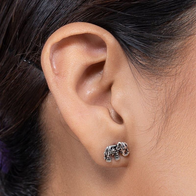 Elephant Studs