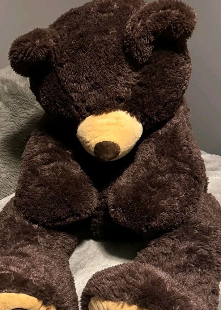 Dark Brown Teddy Bear