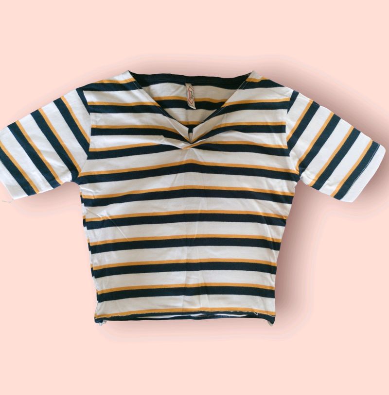 Max Striped Fitted Crop Top