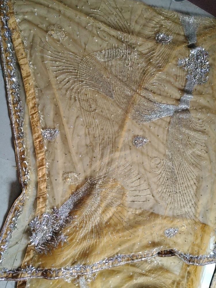 Worked Neted Saree