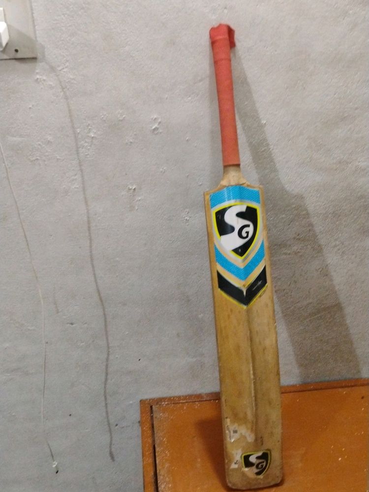 Best' Bat Of Playing Cricket And Fighting