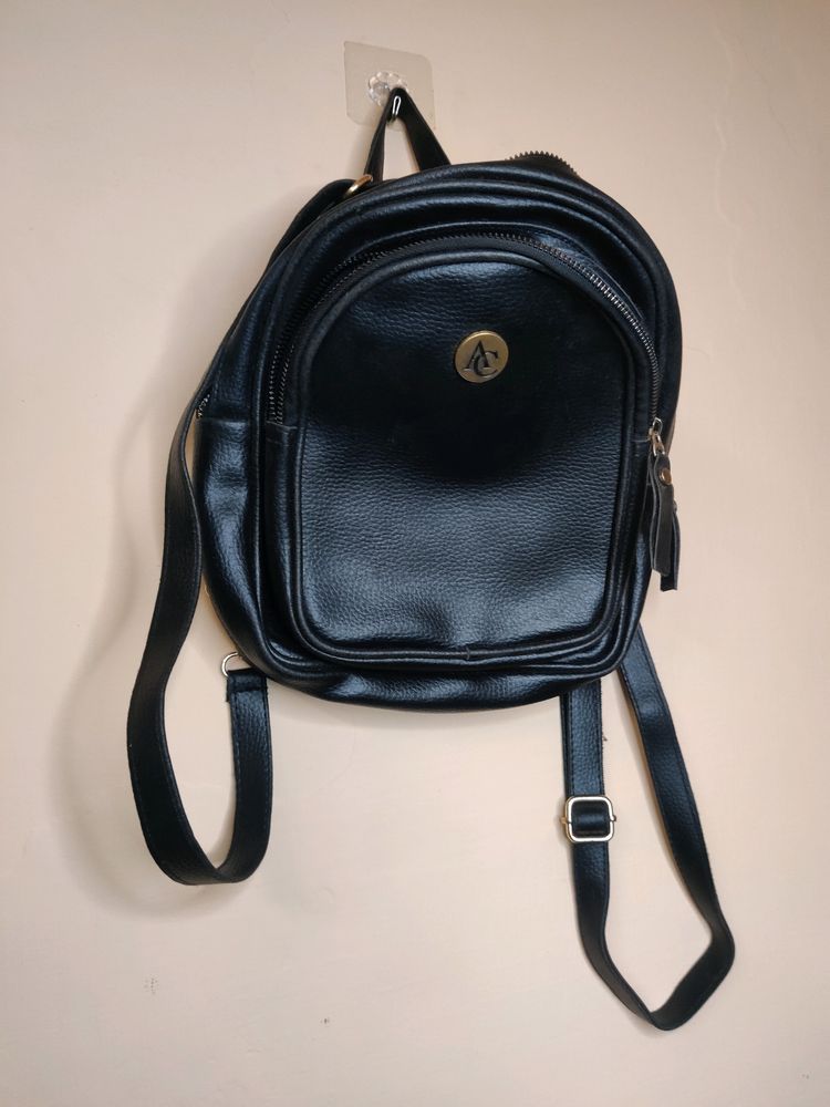 Leather Fancy Bag