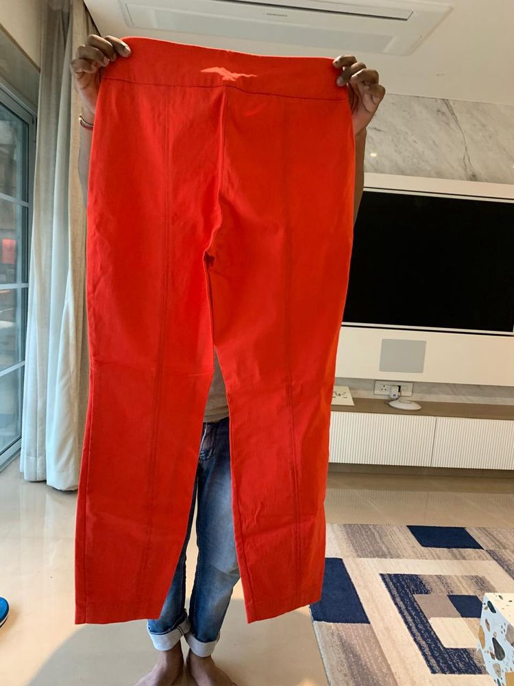 Brand New Orange Trouser