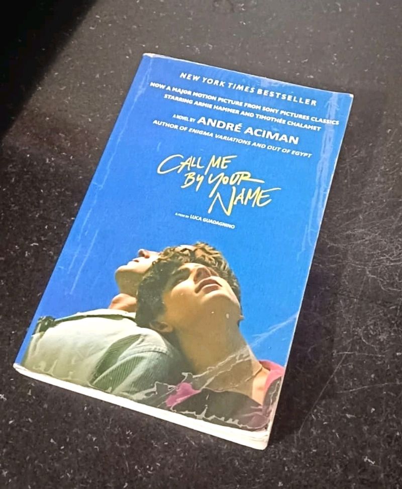 Call Me By Your Name Book