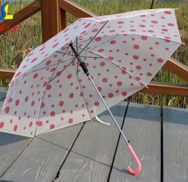 Beautiful Umbrella☂️