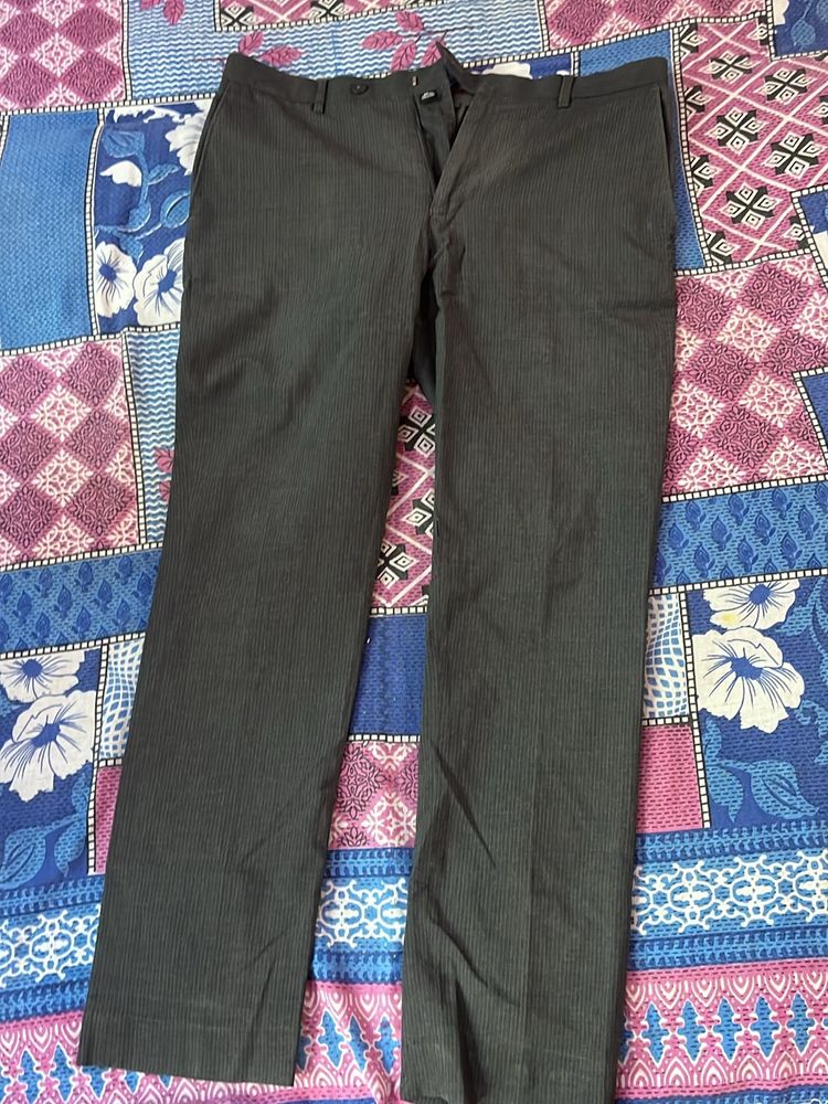 (Combo)Branded Formal Pant