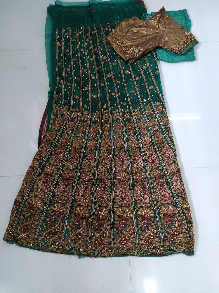 Beautiful Fish Cut Lehnga Saaree