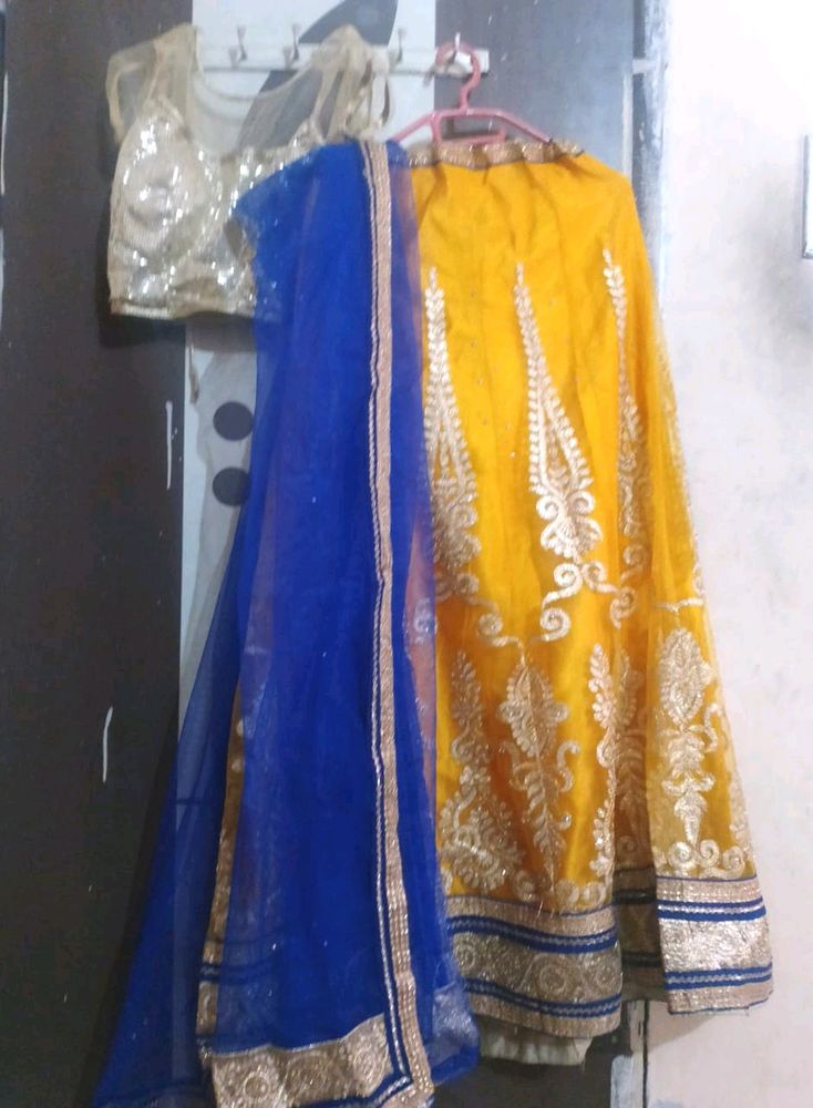 Yellowish Embodiment Lengha And Blouse Golden net