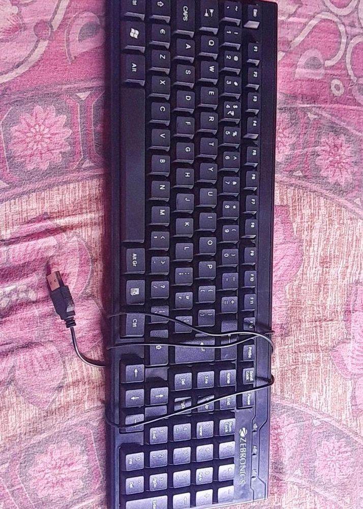 ZEBRONICS Keyboard