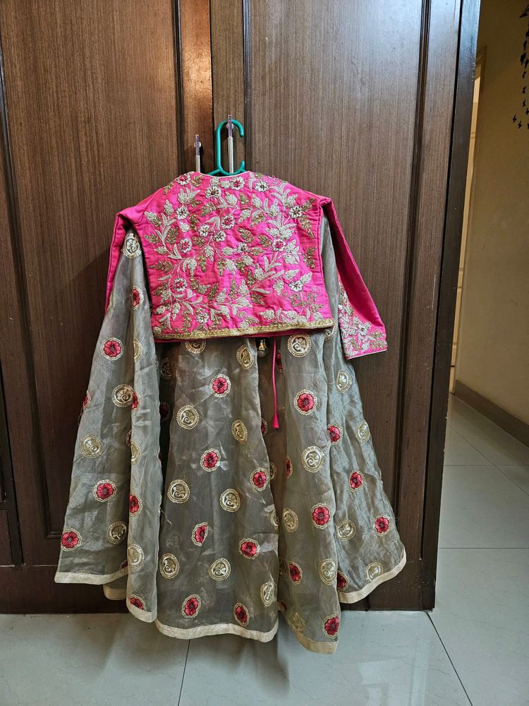 Pink And Brown Lehenga