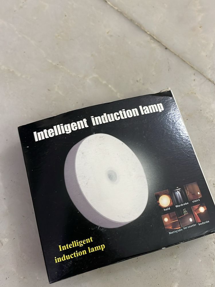 Intelligence Induction Lamp