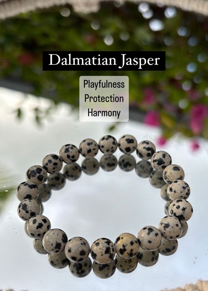 Dalmatian Jasper - Reiki Infused Bracelet
