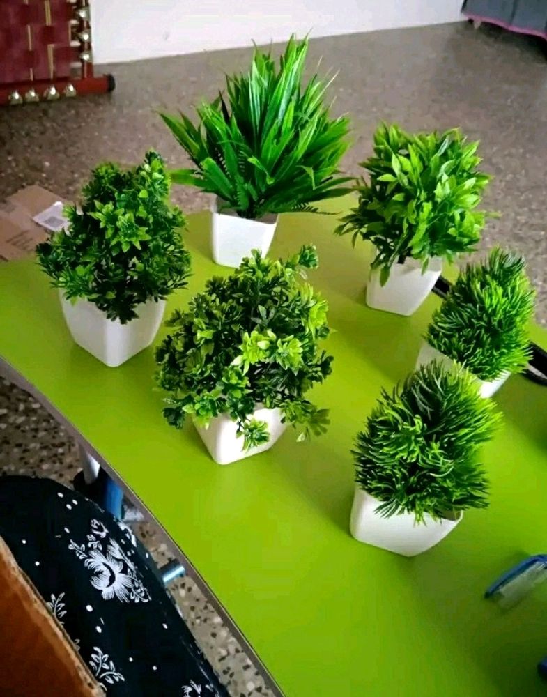 5 Artificial Plant Set for Home Decor