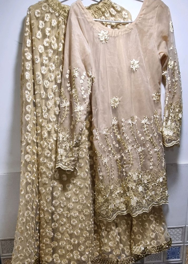 Sharara Top Dupatta