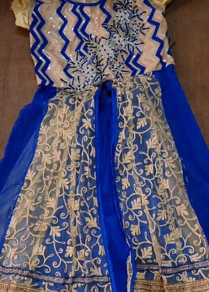 Beautiful Blue and Gold Embroidered Lehenga Choli