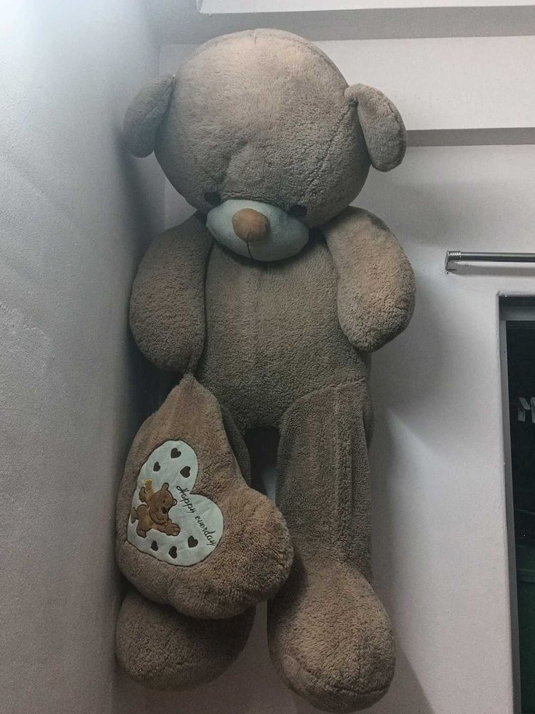 Big Size Teddy Bear