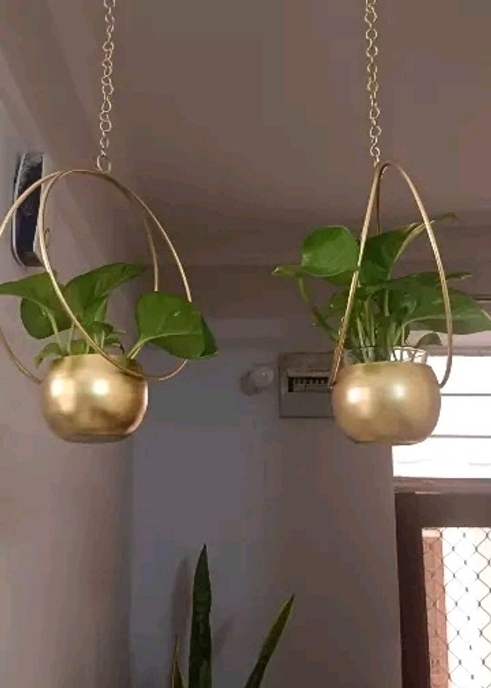 Set Of 2 Golden Metal Hanging Pot