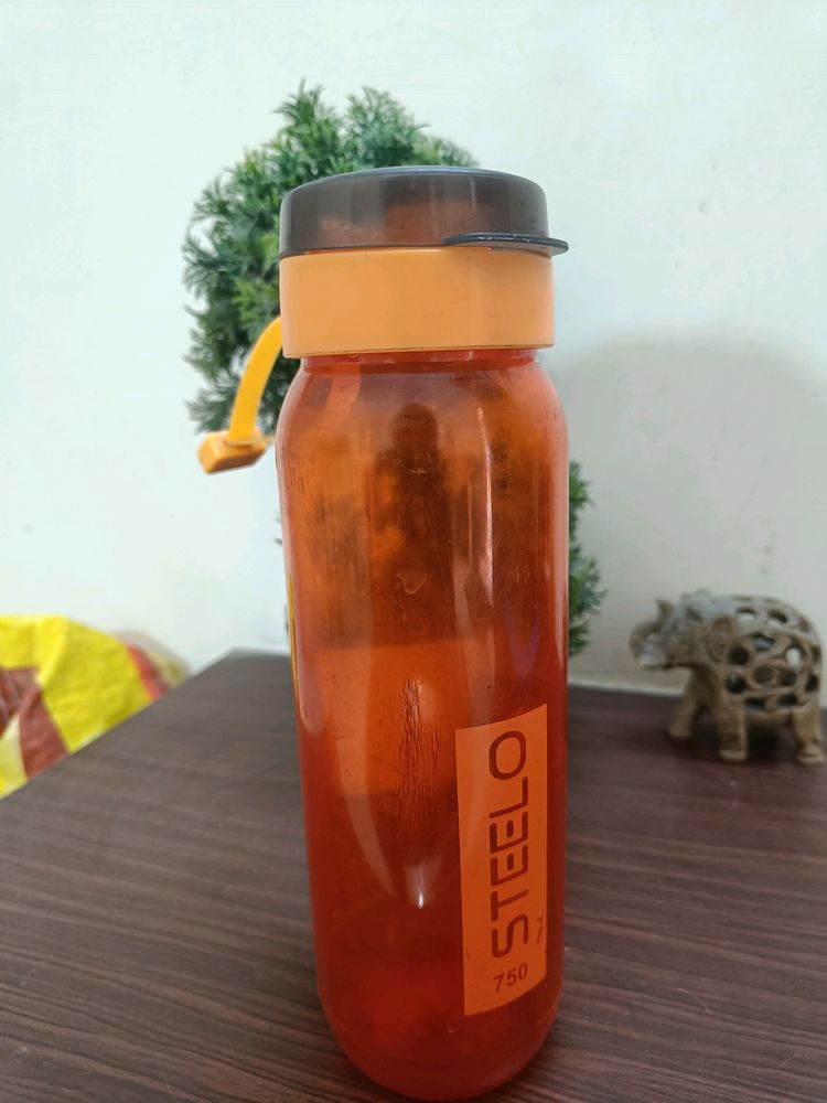 Water Bottle With Strainer