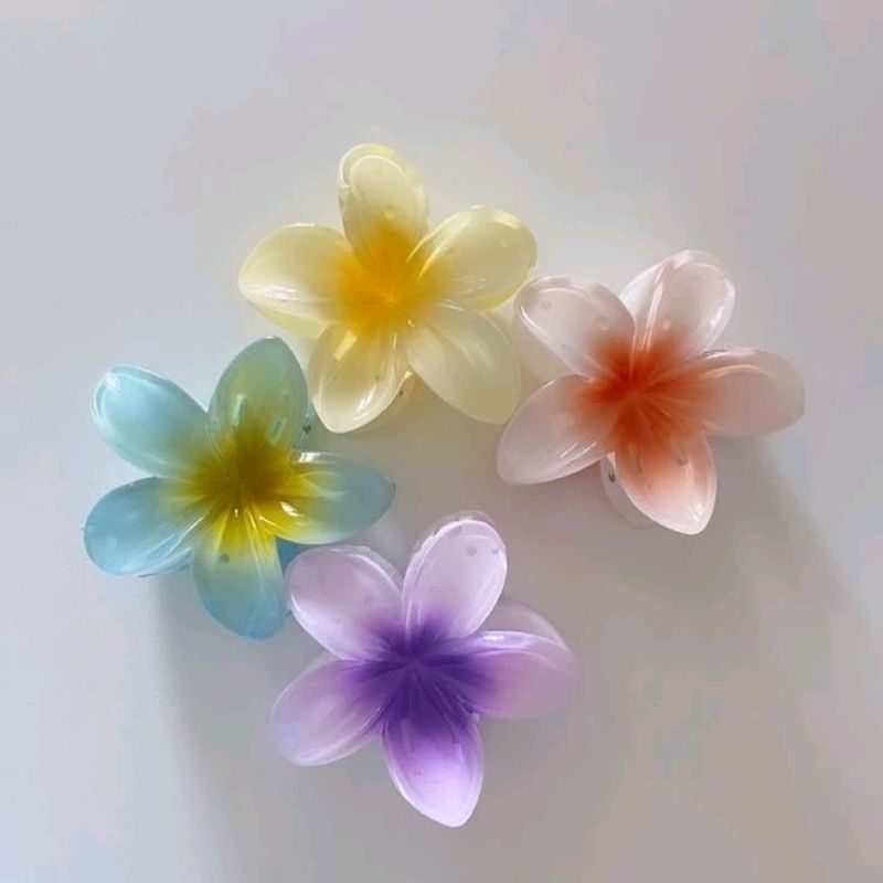 Bloom with Beauty: Vibrant Flower Hair Clips