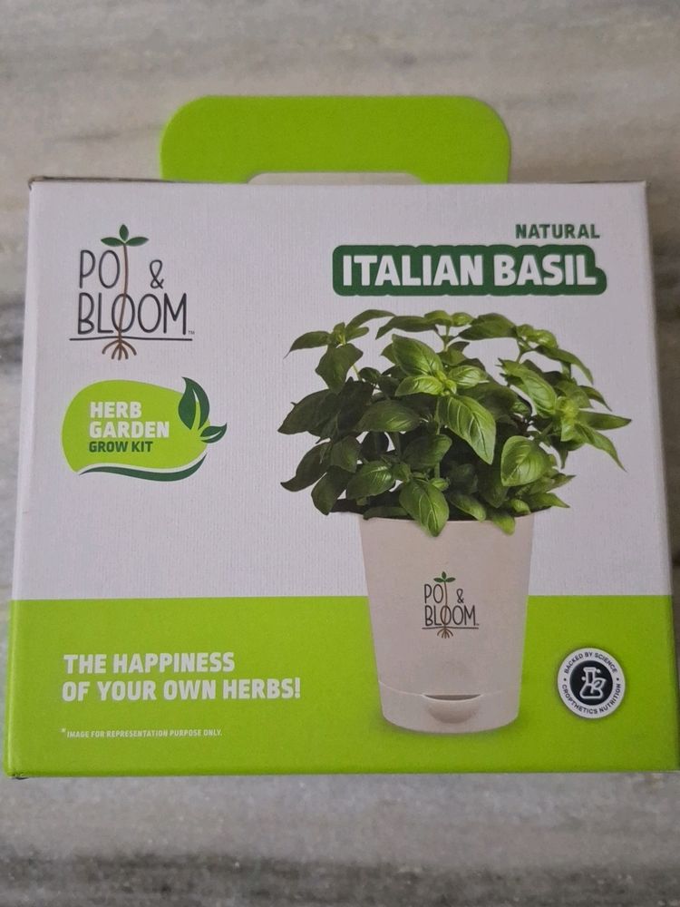 Pot & Bloom, Natural Italian Basil Grow Kit, New