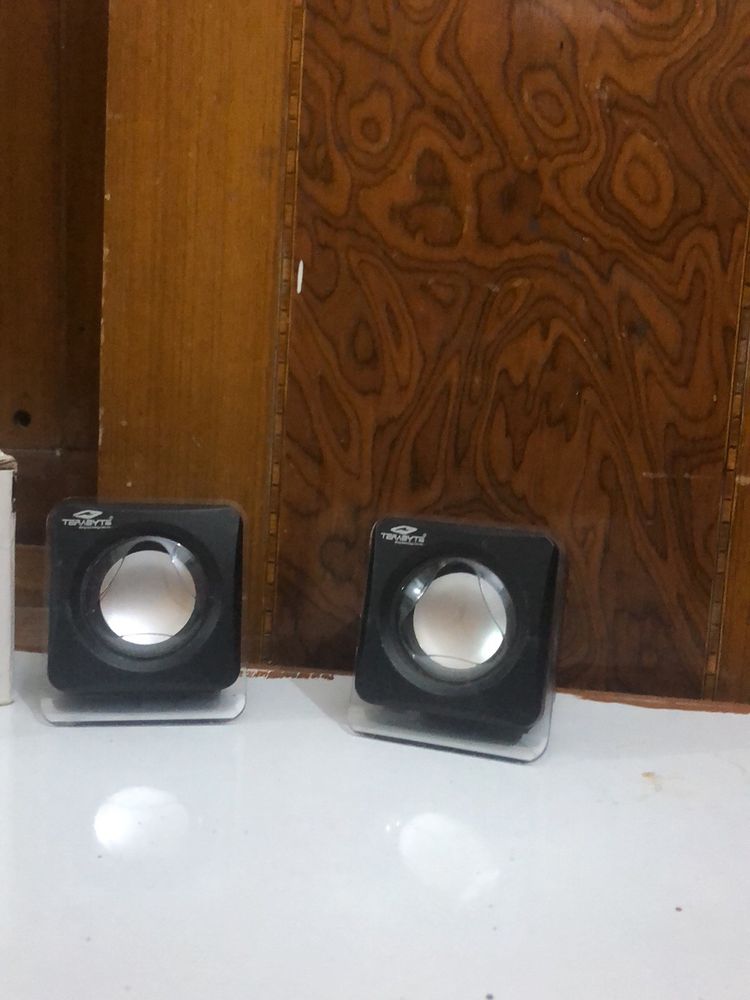 Terabyte Dual Wire Speaker