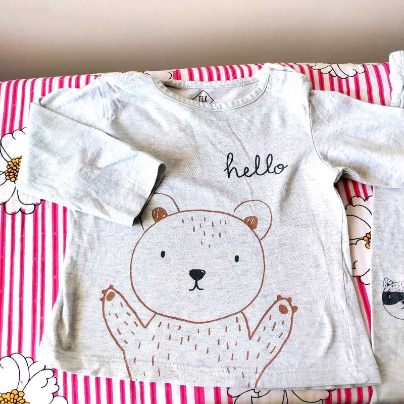 Grey Teddy Printed Full Sleeves For 9 Month