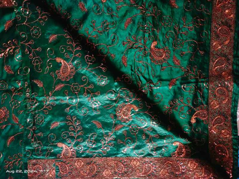 Green Silk Saree With Sequence Work