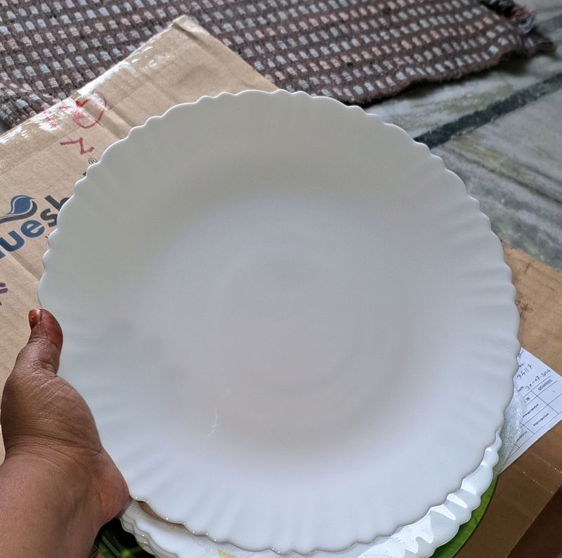 6pc Dinner Plate