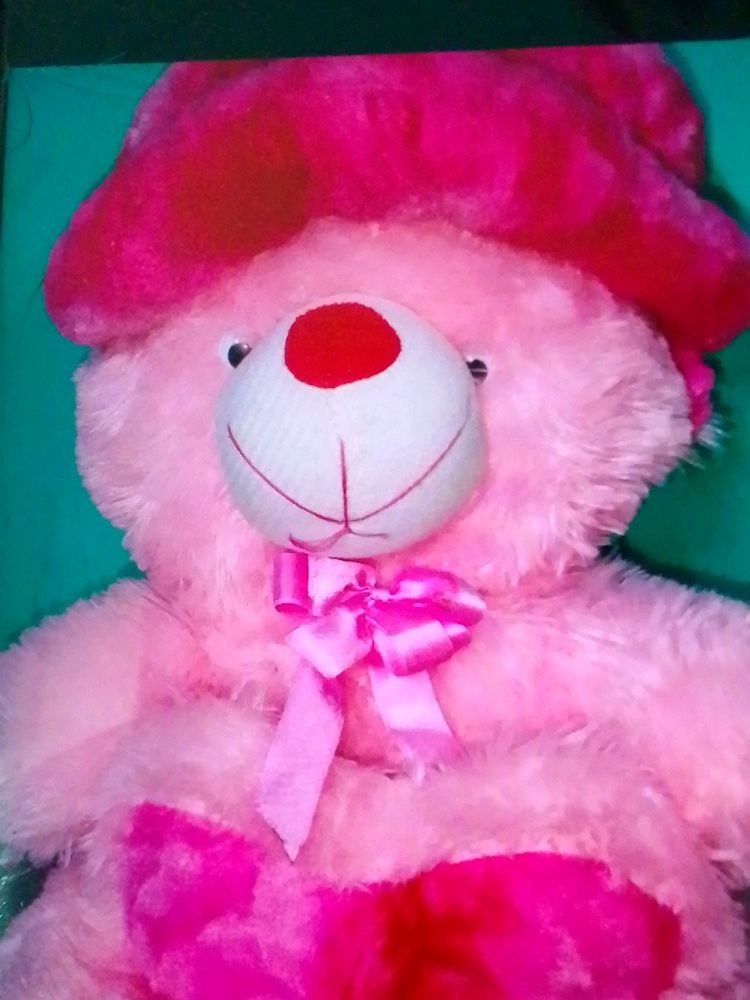 Teddy Bear Soft Toy