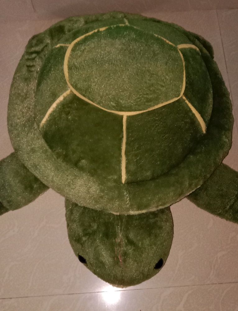 Big Turtle Stuff Toys