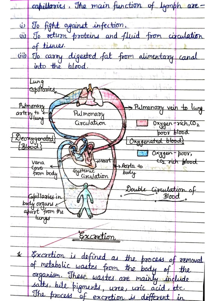 Class10 Biology Notes NCERT CBSE