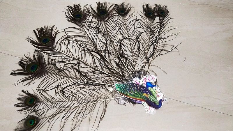 Wall Decorative Item With Dancing Peacock Feathers