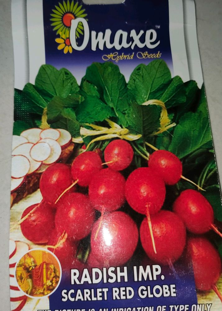 Radish Imported Seeds