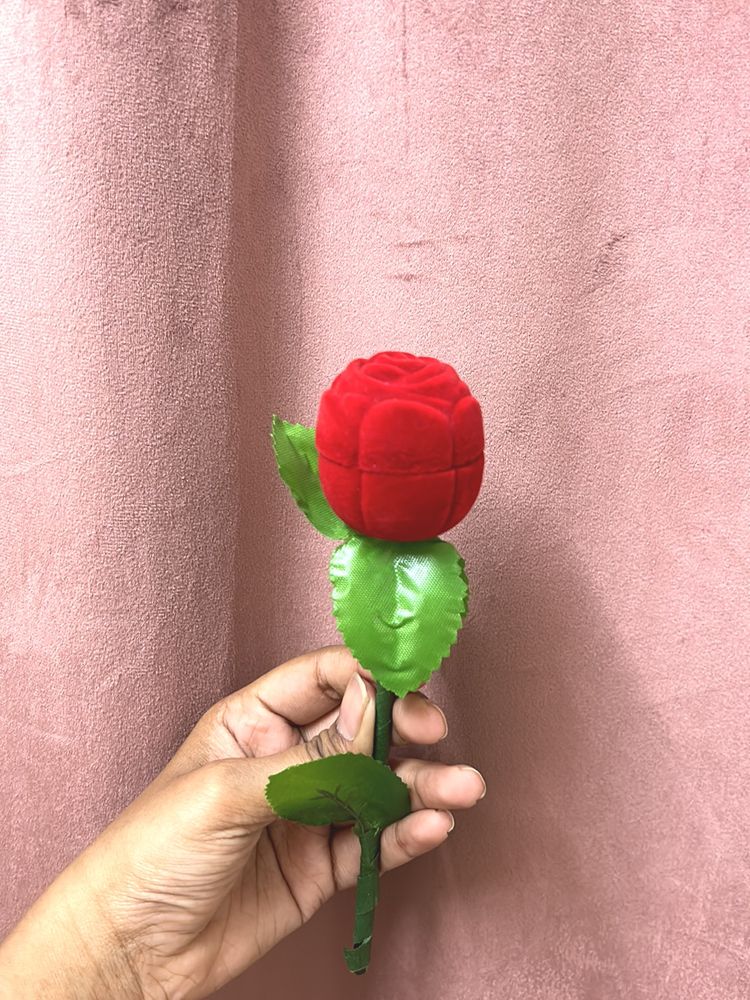 Rose For Proposal