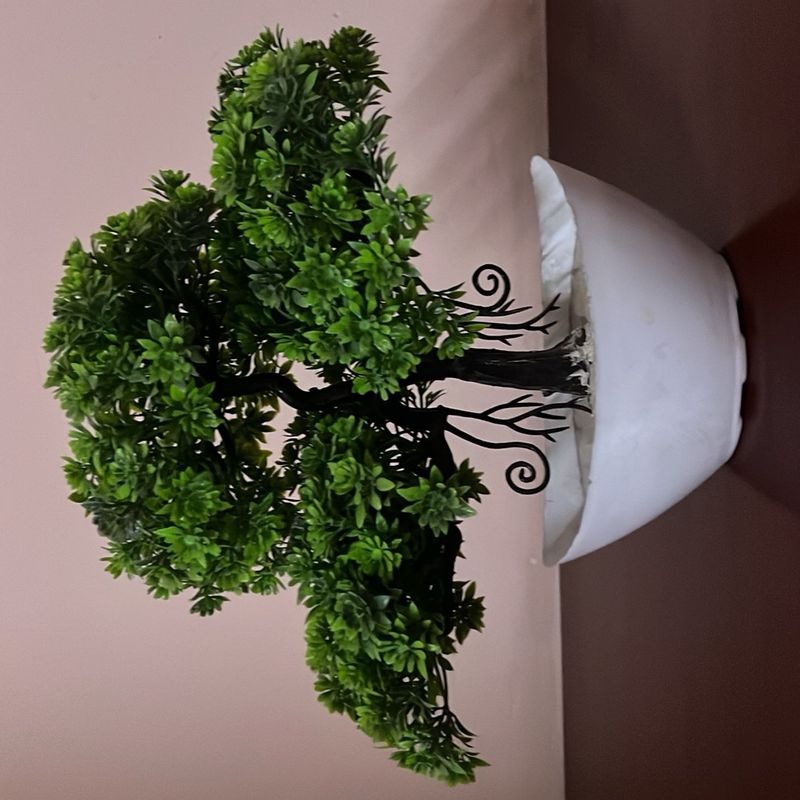 Artificial Plant