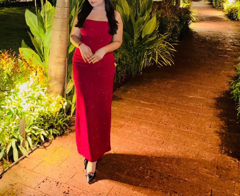 Shimmery Red Dress